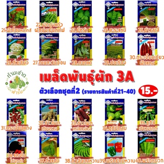 เมล็ดอวบอ้วน100%[10แถม1] 3A เมล็ดพันธุ์ ต้นหญ้าแมว ข้าวสาลีแมว WHEAT ประมาณ 200 เมล็ด/ซอง ตราสามเอ เมล็ดพันธุ์ผัก เมล็ดผ