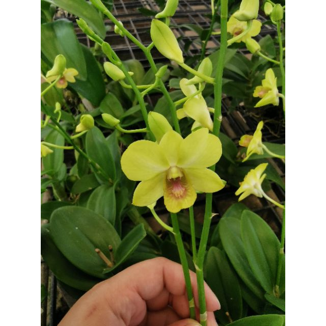 My Image 10