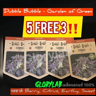 เมล็ด กัญชา นอกของแท้‼️ Dubble Bubble(Photo)จาก Garden of Green ดอกม่วงกับสายผ่อนคลาย 💆🏻‍♀️💜รับประกันเมล็ดแท้ตรงปก💯