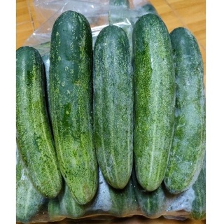 แตงร้านไส้น้อยเนื้อเยอะแน่นกรอบผิวเขียวสดใหม่