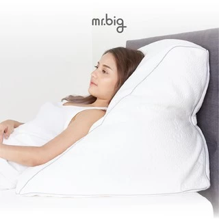 mr.big GERD Pillow หมอน Ergonomic สำหรับผู้ป่วยกรดไหลย้อน ปรับระดับได้ พร้อมปลอกถอดซัก