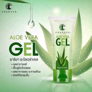 เจลว่านหางชาริยา Aloe vera Gel Chariya