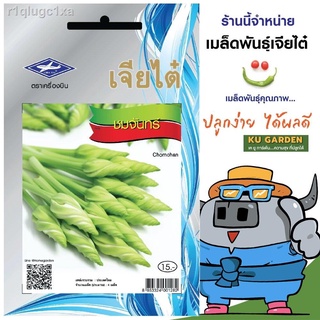 CHIATAI 🇹🇭 ผักซอง เจียไต๋ ชมจันทร์ O047 ประมาณ 4 เมล็ด เมล็ดพันธุ์ผัก เมล็ดผัก เมล็ดพืช ผักสวนครัว