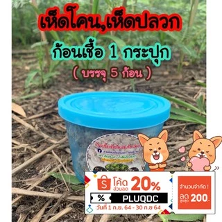 ก้อนเชื้อเห็ดโคน หัวเชื้อสูตรเข้มข้นเจ้าแรกในไทย