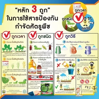 🔥เซฟวิน 85 กำจัดแมลง🔥 เห็บ หมัด ด้วง หนอน เพลี้ยทุกชนิด และแมลงปีกแข็ง 100 กรัม 🌱