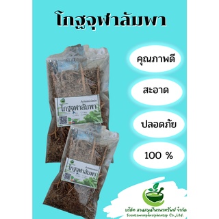 โกฐจุฬาลัมพา (แซเฮา)  ขนาด 100 กรัม พร้้อมส่ง++