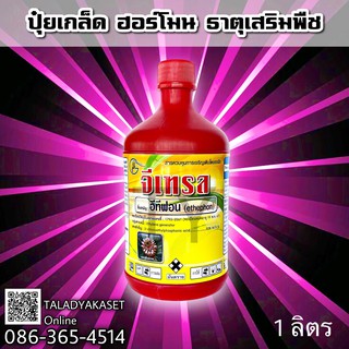 💥 อีทีฟอน 52  1 ลิตร 💥 เร่งการสุก ป้ายขั้ว บ่มผลไม้ บ่มทุเรียน เร่งออกดอก ฮอร์โมนเร่งน้ำยางพารา ยาหยอดสับปะรด แอ็กทีฟอน