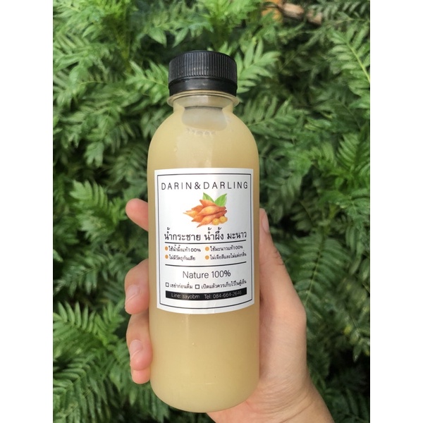 รายการ 105+ ภาพ น้ํากระชายขาวน้ำผึ้งมะนาว สรรพคุณ สวยมาก