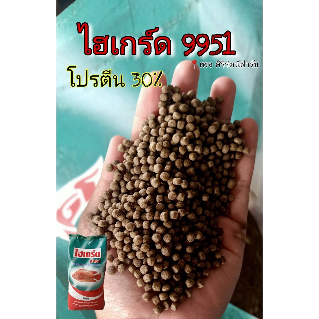 ไฮเกรด ปลาทับทิม (ปลากินพืช) แท้100% แพ็ค1กก. 9950 9951 เทอโบ