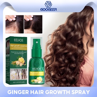 Eelhoe Ginger เอสเซ้นส์ปลูกผม บํารุงรากผม ป้องกันผมร่วง ผมแห้งเร็ว ป้องกันผมชี้ฟู แห้งเสีย ขิงธรรมชาติ สเปรย์ปลูกผม นวดหนังศีรษะ เซรั่มดูแลหนังศีรษะ