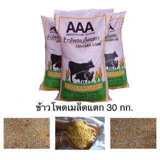 ข้าวโพดเมล็ดแตก 30 กก.ตรา ตองเอ สำหรับเป็นอาหารไก่ชน ไก่เลี้ยง เป็ด แพะ หมู วัว หนูนา นก