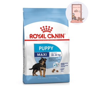 Royal canin maxi puppy 10 kg