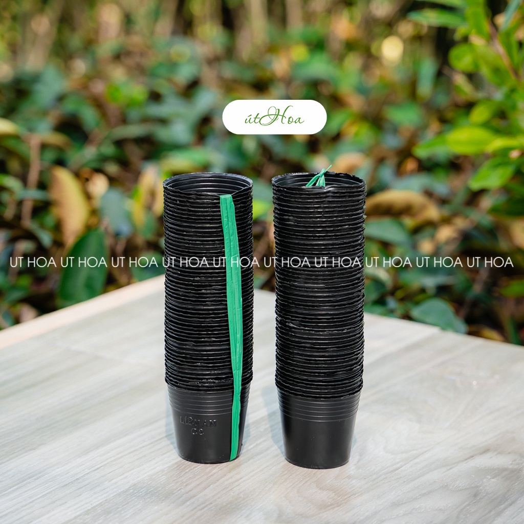 [THICK TYPE] Combo 100 ใบ ขนาดเล็กที่สุด C2 กระถางพลาสติกสีดําสําหรับชําและต้นไม้อนุบาล