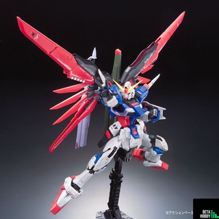 4573102616166 RG 1/144 DESTINY GUNDAM