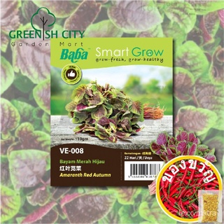 GNC-Baba Smart Growth SeedVE-008ผักโขมฤดูใบไม้ร่วงสีแดง (ผักโขมสีแดงและสีเขียว) Vegeเมล็ดพันธุ์ผักเมล็ดพันธุ์ผักเมล็ดพัน