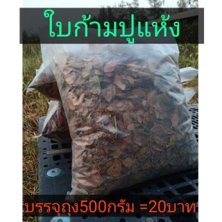 ใบก้ามปู ใบฉำฉา แห้งใต้ต้น 500g 20บาท