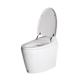 สุขภัณฑ์ชิ้นเดียว พร้อมระบบชำระล้างอัตโนมัติ HAFELE ONE-PIECE TOILET WITH AUTOMATIC FLUSH SYSTEM