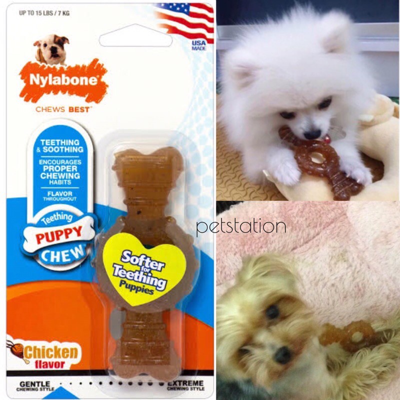 Nylabone Chew Ring ของเล่นขัดฟัน