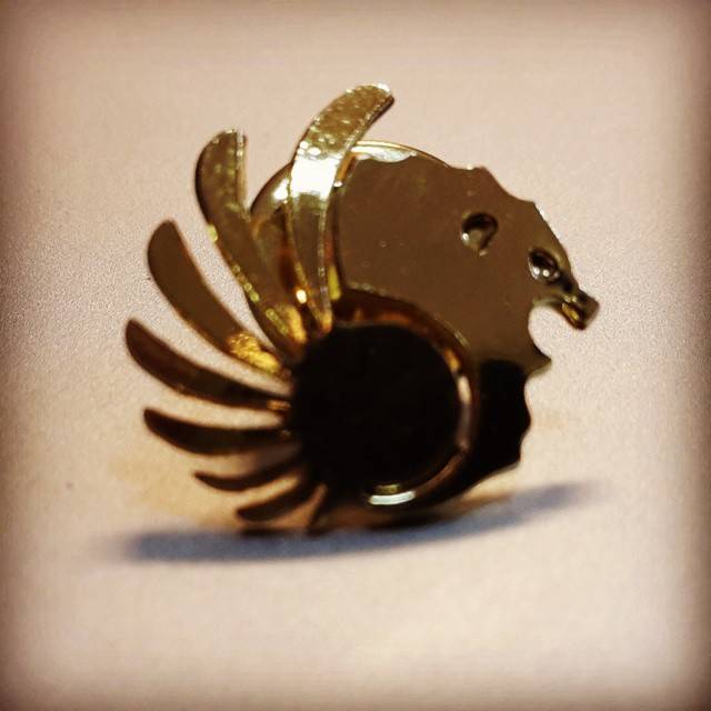 LION AIR Pin********