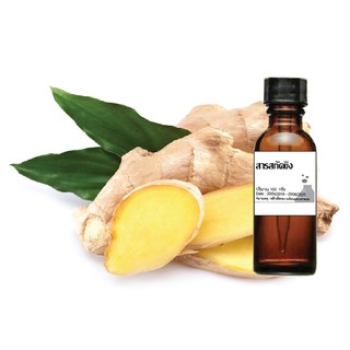 สารสกัดจากขิง ( Ginger Extract ) ขนาด 100 ml