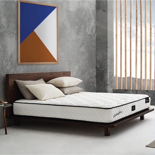 SB Design Square ที่นอน Eastman House รุ่น ENCHANT 400 ขนาด 5 ฟุต แถมฟรี หมอนหนุน 2 ใบ (152x198x25.4 ซม.)