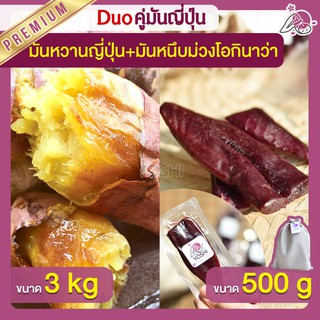 แพ็คคู่ถูกกว่า มันหวานญี่ปุ่น เบนิฮารุกะ 3kg + มันหนึบม่วง 500g  มันหวานญี่ปุ่นนำเข้า มันหนึบ โอกินาว่า