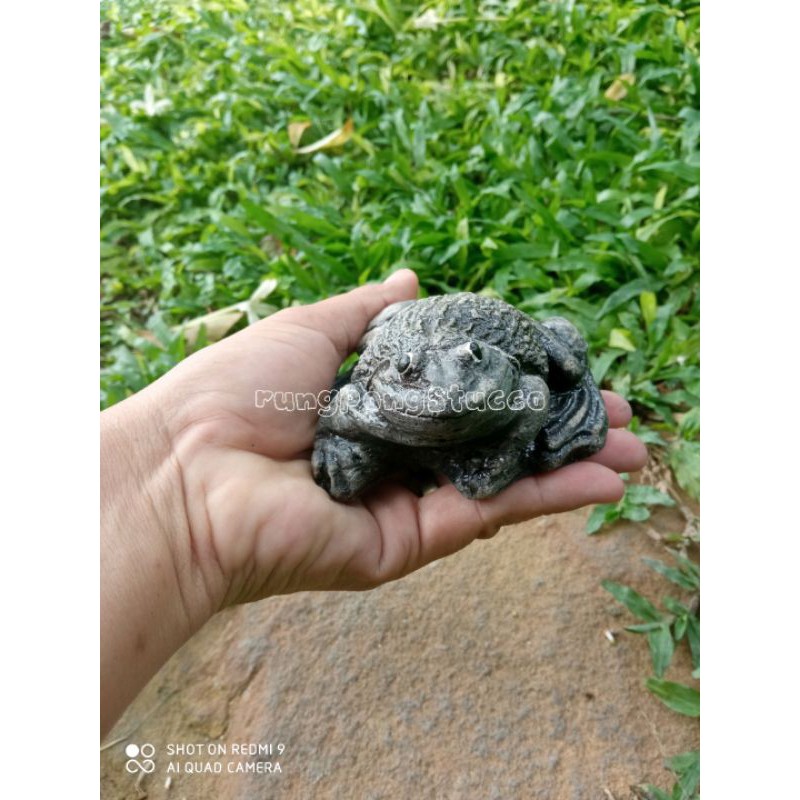 ตุ๊กตาปูนปั้นกบตกแต่งสวนสวยมีให้เลือก 2 สี น่ารักมาก สนใจสั่งซื้อได้คะ ราคาถูก ราคา ถูกที่สุด ดีลบีเคเค แกลเลอรีภาพที่ 5
