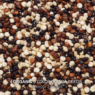 Natural & Premium N&P Organic (1000g) เมล็ดควีนัว 3 สี อินทรีย์ Organic 3 Color Quinoa Seeds (1000g)