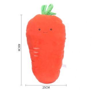 ตุ๊กตาแครอท แบบที่วินมี 🥕 miniso❤️