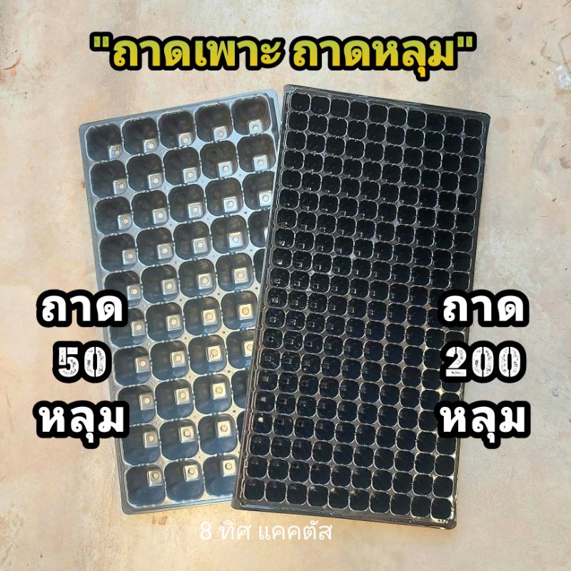 // ถาดเพาะเมล็ด 50 200 หลุม // ขนาดถาด 21x11 นิ้ว เพาะต้นไม้ ถาดหลุม