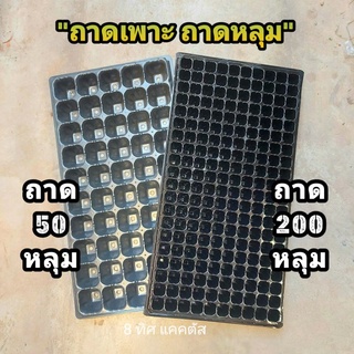 ถาดเพาะเมล็ด 50/200 หลุม // ราคาส่ง ขั้นต่ำ 4 ใบ ถาดเพาะเมล็ด ถาดหลุม 21x11 นิ้ว เพาะ