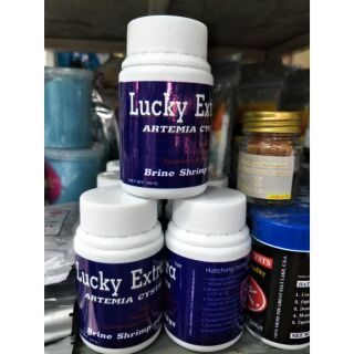 ไข่อาร์ทีเมีย lucky