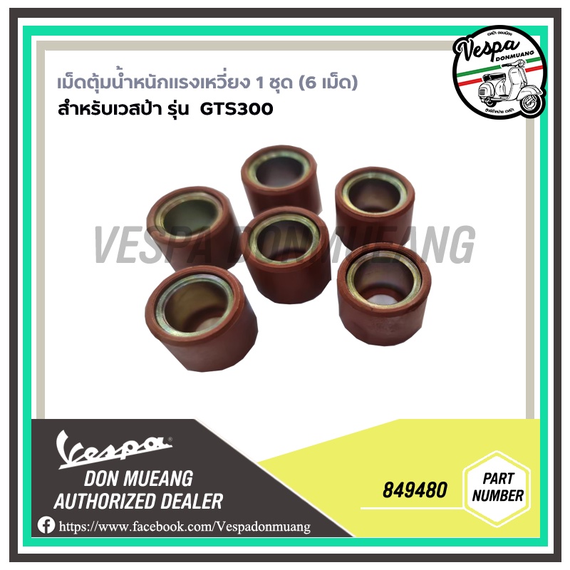 [849480] เม็ดตุ้มน้ำหนักแรงเหวี่ยง 1 ชุด (6 เม็ด)  GTS300