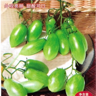 เมล็ด มะเขือเทศเชอรรี่สีเขียว*** Green Roma Tomato  สายพันธุ์ OP จำนวน 300 เมล็ด