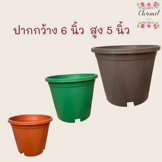 กระถางต้นไม้ ทรงกระบอกลายย้อย ขนาด 6 นิ้ว กระถางต้นไม้พลาสติก มี 3 สี สีอิฐ/เขียว/โอ๊ค