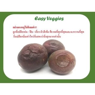 เสาวรส น้ำเยอะ ไม่เน้นผิว มีเหี่ยว[มีใบรับรองปลอดสาร+รวมส่งถูก ] 💛 - เสาวรสพันธุ์ไทยใช้ทำน้ำและขนม