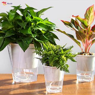 Flower Plant Pot Self Watering Planter Transparent Planting Flower Pot Water Storage Basin