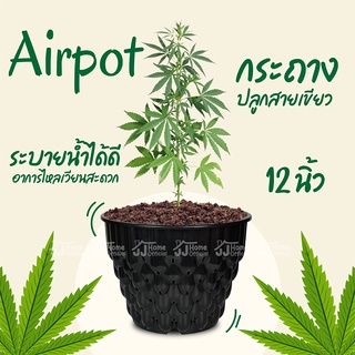 Airpot กระถางปลูกสายเขียว 12" ปลูกกัญ กระถาง Air Pot กระถางต้นไม้มีรู กระถางปลูกต้นไม้เร่งราก กระถางมีรู กระถางต้นไม้