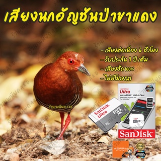 เสียงต่อ นกอัญชันป่าขาแดง ยาว6ชั่วโมง ไม่มีโฆษณา เมมโมรี่เล็ก(Micro SD) มีเก็บเงินปลายทาง