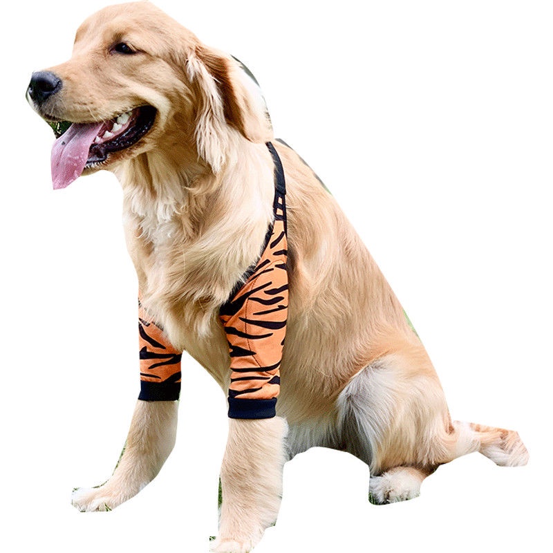 สนับศอกสุนัข สนับเข่าสุนัข ป้องกันศอกด้าน รองศอก สนับเข่าหมา ป้องการการเสียดสีกับพื้น