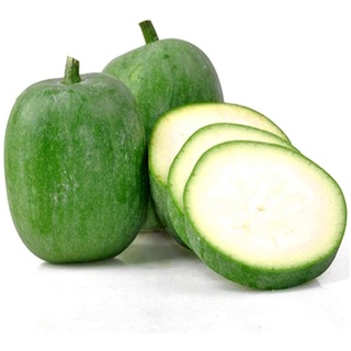 🚚 ส่งเร็ว!! ฟักเขียว ผักสวนครัวปลอดสาร ✅ มีการรับประกันสินค้…