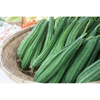 เมล็ดพันธุ์ บวบเหลี่ยม 15 เมล็ด ขยายพันธุ์ต่อได้เนื่องจากเป็นเมล็ดพันธุ์เปิด