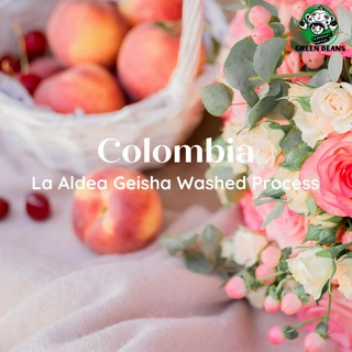 สารเมล็ดกาแฟ Colombia La aldea Geisha washed process