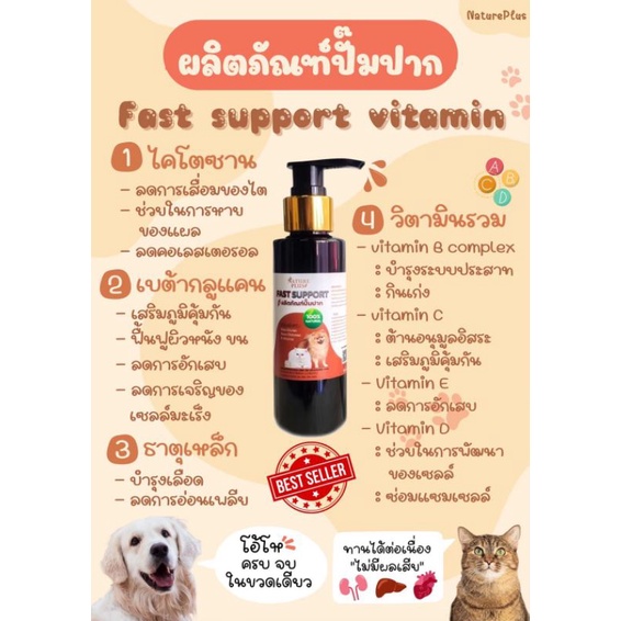 รูปภาพ 4