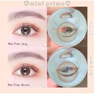 คอนแทคเลนส์(มินิ) 🌟Mini Primo brown / gray / black 🌟 Kittykawaii ค่าอมน้ำ55% เลนส์เกาหลี🇰🇷 นิ่มสบายตาธรรมชาติ ดำ