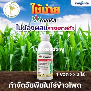 คาลารีส 1L💥กำจัดวัชพืชในข้าวโพด💥คุม-ฆ่า 💥‼️จบในขวดเดียว ‼️