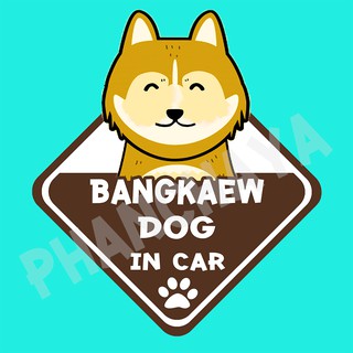 DIC58 สติ๊กเกอร์ ติดรถ หมาบางแก้ว Thai Bangkaew Dog In Car สติ๊กเกอร์ติดรถ car sticker