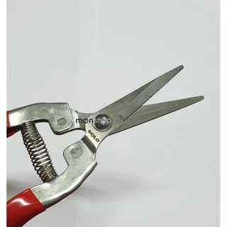 SOLO กรรไกรตัดกิ่ง ปลายแหลม คีมตัดกิ่งไม้ คีมตัดกิ่ง No.171-8 : กรรไกรตัดกิ่งไม้