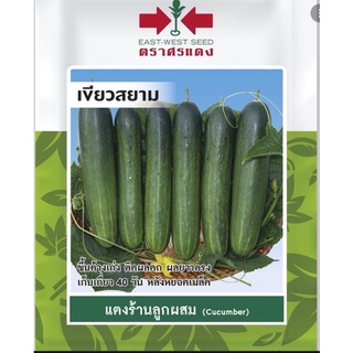 แตงร้าน แตงร้าน ลูกผสม เขียวสยาม 🥒หมดอายุ03/01/2568🥒 ผลยาวตรง เก็บเกี่ยว40 วันหลังหยอดเมล็ด บรรจุประมาณ 20 เมล็ด