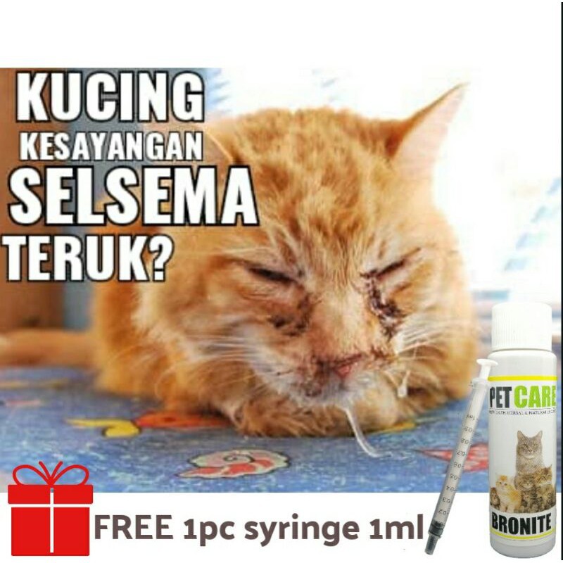 25ml Ubat Selsema Demam Parvo Sakit Mata Ulser Rawat Hati Boost Immune Kurang Aktif Multivitamin Lengkap Kucing11 à¸¥à¸